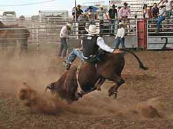 Rodeo